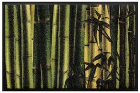 Kvety a listy premium rohožka - bambus (Vyberte veľkosť: 60*40 cm)