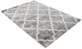 Shaggy koberec Versa Veľkosť: 120x170cm