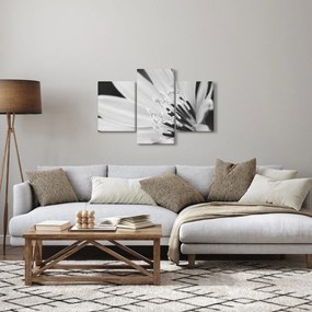 Obraz - Čiernobiely kvet (90x60 cm)