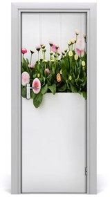 Fototapeta samolepiace ružové sedmokrásky 75x205 cm