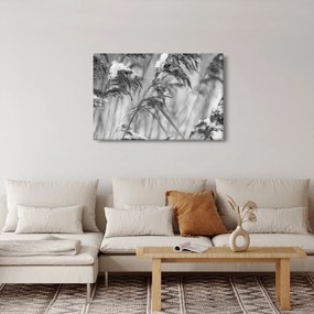 Obraz - Lipnica, čiernobiela (90x60 cm)