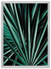 Plagát Dark Palm Tree