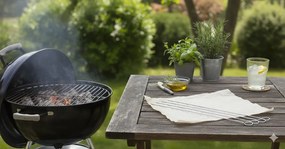 Grilovacie ihly BestBerg BBBQ-6NLS / 6 ks / nerez