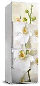 Nálepka fototapety na chladničku Orchidea FridgeStick-70x190-f-123330197