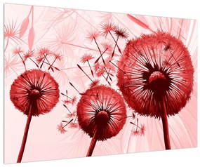 Obraz červeného páperia púpav (90x60 cm)