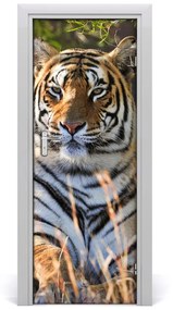 Samolepiace fototapety na dvere tiger 85x205 cm