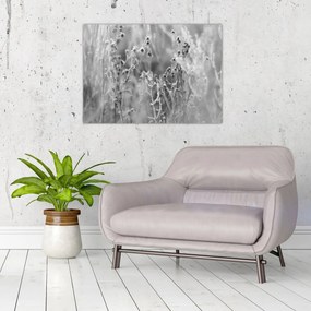 Sklenený obraz - Divoká lúka (70x50 cm)
