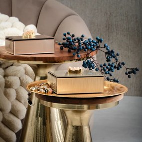 Šperkovnica PIERRE zlatá s kameňom 705243