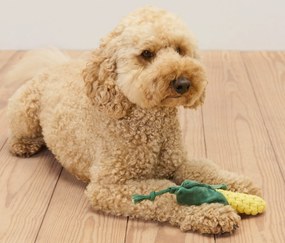 Hračka pre psov »Kukurica«