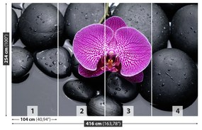 Fototapeta Vliesová Orchidea kamene 250x104 cm