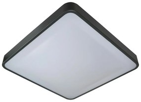 LED Stropné svietidlo WILTON LED/24W/230V antracit