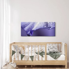 Obraz - Okvetný lístok s kvapkami (120x50 cm)