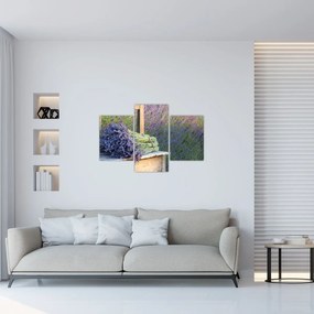 Obraz - Levanduľové zväzky (90x60 cm)