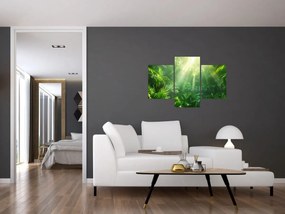 Obraz - Dažďový prales (90x60 cm)