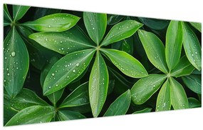 Obraz - Listy s kvapkami rosy (120x50 cm)