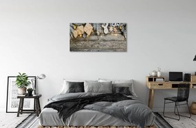 Obraz na plátne Vetvičky darčeky kužele 140x70 cm