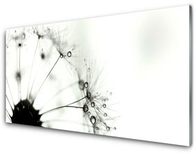 Obraz na akrylátovom skle Púpava rastlina 120x60 cm