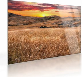 Sklenený obraz pole (70x50 cm)