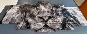 5-dielny obraz tvár leva v čiernobielom prevedení - 200x100