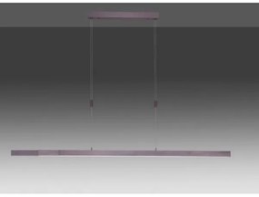 Paul Neuhaus 2568-24 - LED Stmievateľný luster na lanku ADRIANA LED/14W/230V