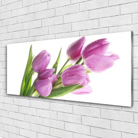 Obraz plexi Tulipány kvety rastlina 125x50 cm