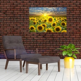 Obraz - Slnečnica pri západe slnka (90x60 cm)