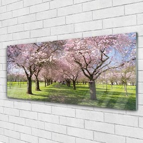 Obraz na akrylátovom skle Chodník stromy príroda 125x50 cm