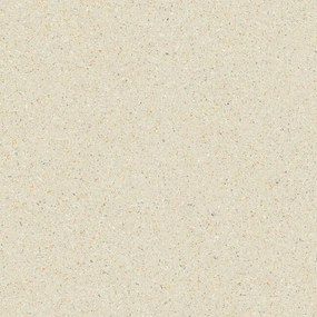 Dlažba Matter Ivory Natural 60x60 R