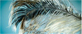 Obraz pierka (120x50 cm)