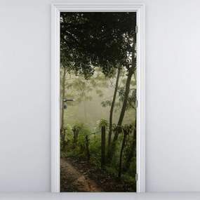 Fototapeta na dvere - Ranná hmla (95x205cm)