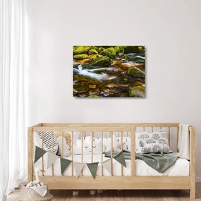 Sklenený obraz potôčiku (70x50 cm)