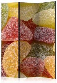 Paraván - Tasty fruit jellies [Room Dividers] Veľkosť: 135x172, Verzia: Akustický