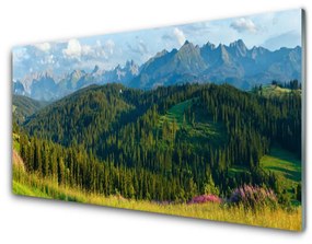 Skleneny obraz Hora les príroda 140x70 cm