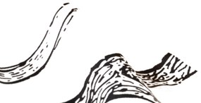 Posteľná bielizeň z mikrovlákna, štandardná veľkosť, jelenia