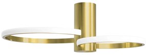 Toolight Toolight, LED stropné svietidlo 50x30,5cm, 22W, APP1402-CW, zlatá lesklá, OSW-05849