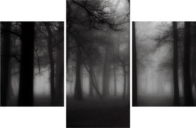 Obraz - Les v hmle (90x60 cm)