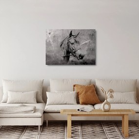 Sklenený obraz - Portrét koňa (70x50 cm)