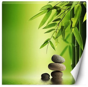 Fototapeta, Bambusové listy na zeleném pozadí - 100x100 cm