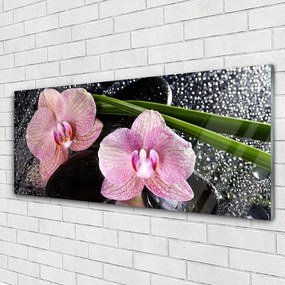 Obraz plexi Kvety orchidea kamene zen 125x50 cm