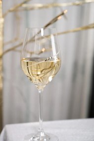 Diamante poháre na biele víno Silhouette City s kryštálmi Swarovski 360ml 2KS