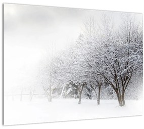 Sklenený obraz - Zimná alej (70x50 cm)