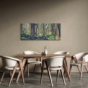 Obraz cesty medzi stromami (120x50 cm)