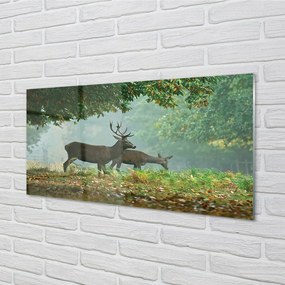 Sklenený obraz Jeleňa na jeseň les 140x70 cm
