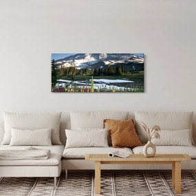 Obraz - Mount Rainier (120x50 cm)