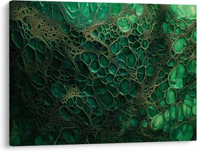 Obraz - Zelený mikroskopický záber (70x50 cm)