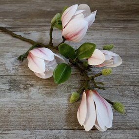 KONÁR MAGNÓLIA RUŽOVÁ 66CM