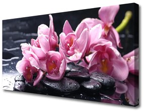 Obraz na plátne Kvet kamene rastlina 100x50 cm