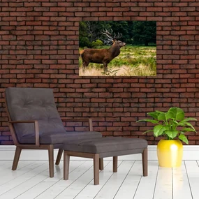 Obraz jeleňa (70x50 cm)