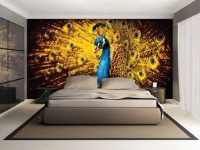 Fototapeta - Páv so žltým perím (254x184 cm)