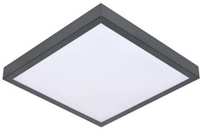 BOWI LED Stropné svietidlo so senzorom VITALI LED/24W/230V 4000K BW0394